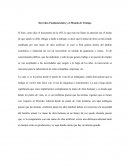 Derechos Fundamentales y el Mundo de Trabajo