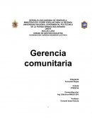Gerencia comunitaria
