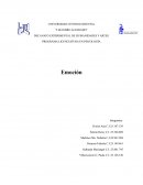 Importancia del hipotálamo en la emoción