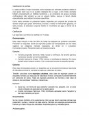 Clasificación Porífera