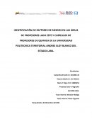 IDENTIFICACIÒN DE FACTORES DE RIESGOS EN LAS ÁREAS