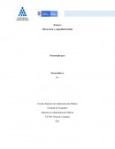 Ensayo Burocaria y capacidad estatal