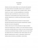 IDEA DE NEGOCIO QUINUA FAST