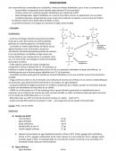 LABORATORIO HISTOQUÍMICA 2013. ÁCIDOS NUCLEICOS