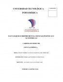 ENSAYO SOBRE LA EFICACIA SOCIAL DEL DERECHO