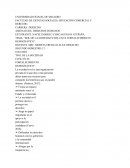 Rol de la sociedad civil en el fortalecimiento democrático