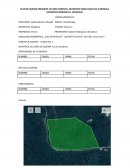 PLAN DE QUEMA PRESCRITA EN AREA FORESTAL, MUNICIPIO IXPALCUAHUTLA O MOXALA, MUNICIPIO ZOMGOLICA