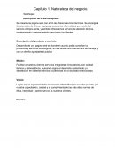 Naturaleza del negocio. TecShopee