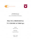 Practica Profesional Ceramicas Toro SpA