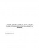 LA PROPIEDAD, POSESIÓN, DERECHOS REALES, GARANTÍAS REALES, TRANSMISIÓN, EXTINCIÓN DE OBLIGACIONES Y SU EVOLUCIÓN