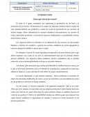 Análisis de Costos para la Toma de Decisiones