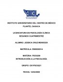 INTRODUCCIÓN A LA PSICOLOGÍA