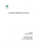 Informe marketing digital Grupo MSI