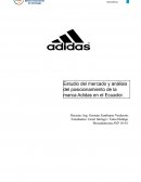 Estudio del mercado y análisis del posicionamiento de la marca Adidas en el Ecuador