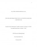 La implementación de las fases del Marketing