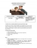 Desarrollo del Pensamiento.Reglas