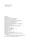 Investigación de mercado “The Not Company”