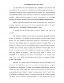 EL PROBLEMA DEL RACISMO