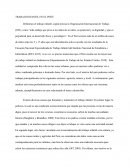 El trabajo infantil en el Perú