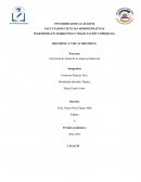 Proyecto: Activación de marca de la empresa Endeavour