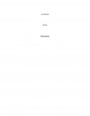 Contabilidad, GRUMA, S.A.B. de C.V