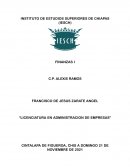 INFORME EN FECTIVO