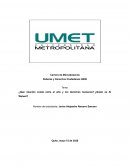 ¿Qué relación existe entre el arte y los derechos humanos? ¿Quién es Ai Weiwei?