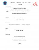 CULTURA Y PROCESOS COGNITIVOS: HACIA UNA PSICOLOGÍA CULTURAL