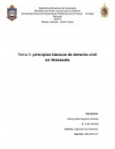 Principios básicos de derecho civil en Venezuela