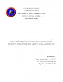 IMPACTO DE LA LEY PENAL DEL AMBIENTE Y LA LEY ORGÁNICA DE PREVENCIÓN, CONDICIONES, Y MEDIO AMBIENTE DE TRABAJO (LOPCYMAT)