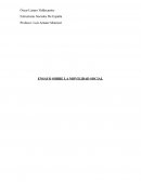 Ensayo Sobre la movilidad social