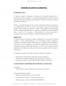 Estudio de Impacto Ambiental