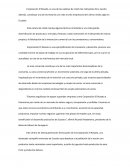 Corporación El Rosado