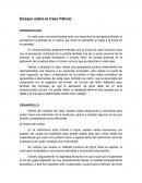 Ensayo sobre el Caso Fähner