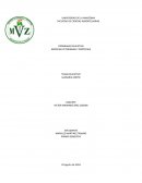 Glosario Veterinaria