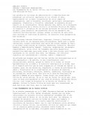 ANÁLISIS CRITICO TEORÍAS Y PRÁCTICAS ORGANIZATIVAS