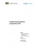 Trabajo Grupal Gobierno Corporativo y RSE