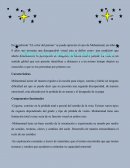 Comentario pelicula color del paraiso