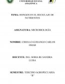 HONGOS EN EL RECICLAJE DE NUTRIENTES