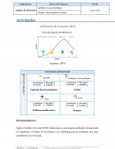 Aplicación de matriz BCG