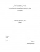 El Mercado, su Morfología y Tipos