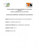 Ensayo del libro YO EXPLOCO PERO ELLOS ¿APRENDEN?