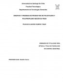 ENSAYOS Y PRUEBAS DE PRODUCTOS DE POLIETILENO Y POLIPROPILENO SEGÚN SU PESO