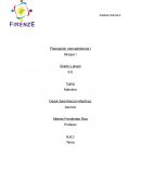 Etapas de la planeacion mercadotecnia