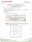Actividad de trabajo Gato Fractal