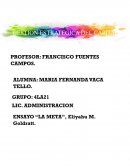 Gestión estratégica del capital . Libro La meta