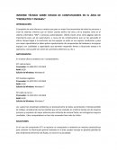 Informe técnico Sobre estado de computadores en el área de Productos y Envases Embonor