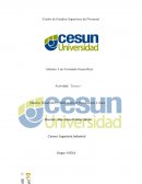 Desarrollo y Habilidades de Pensamiento Critico, deserción laboral en los diferentes ámbitos laborales