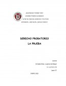 Derecho probatorio La pruba
