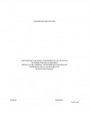 MATERIALES METÁLICOS